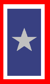 [Silver Star Families of America flag]